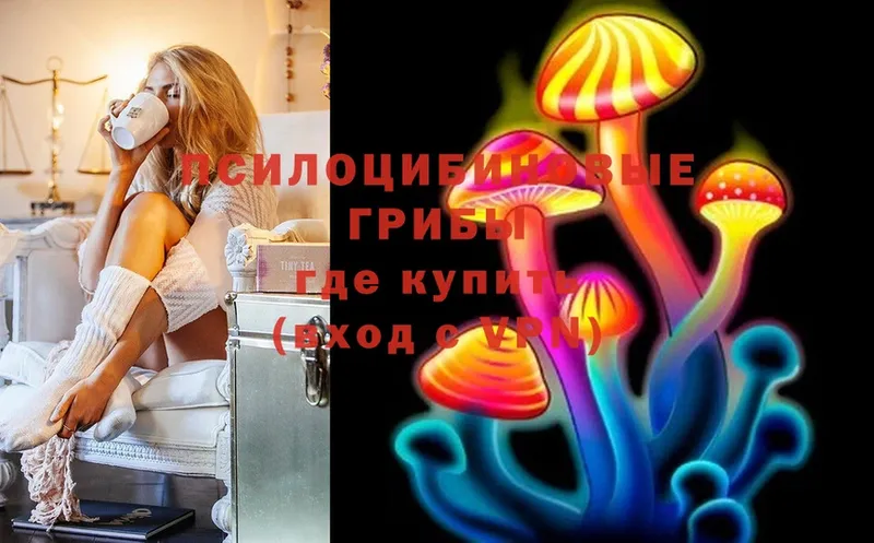 ссылка на мегу   цены наркотик  Заречный  Галлюциногенные грибы Magic Shrooms 